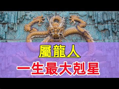 屬龍 名人|【屬龍 名人】屬龍名人魅力無窮！盤點最受歡迎的生肖龍男神女。